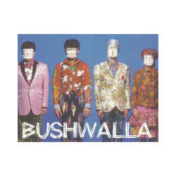 ArtEntertainment_01-Bushwalla-250×250