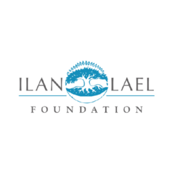 Non-Profits_01-IlanLael@2x-250×250