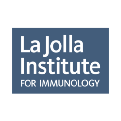 Non-Profits_01-LJIFI@2x-250×250