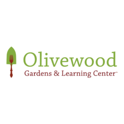 Non-Profits_01-OliveWood@3x-250×250